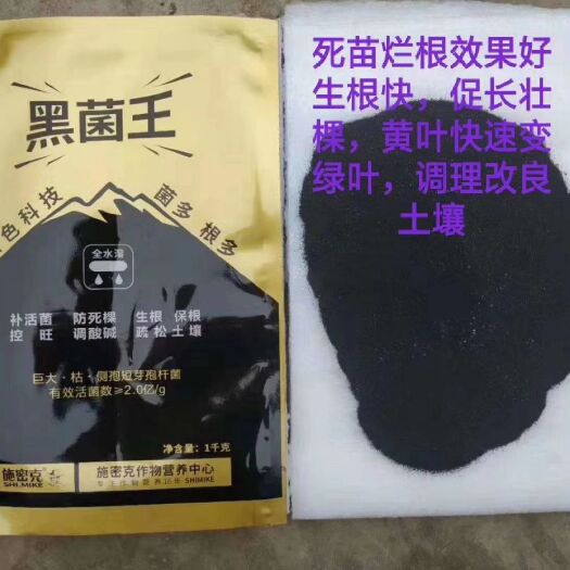 孟州市菌肥 黑菌王   全国独一家