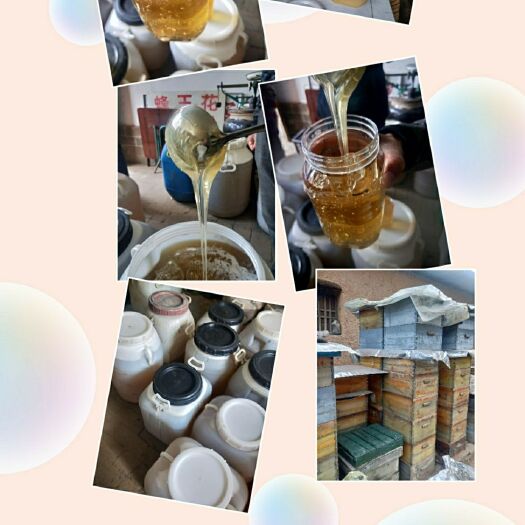 原平市 农家自产天然无加工洋槐花蜂蜜