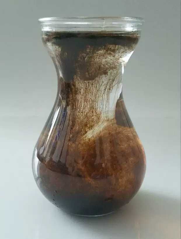 土壤改良肥 腐殖酸肥尔改善果品促生根疏松土壤冲施型除盐渍化