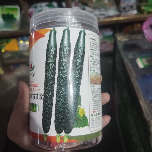 夏邑县黄瓜种子 节节收 油亮密刺型 丰产性好 商品性好