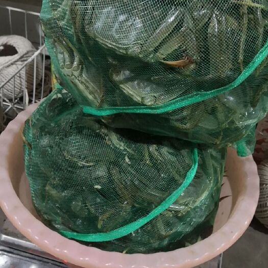  大闸蟹