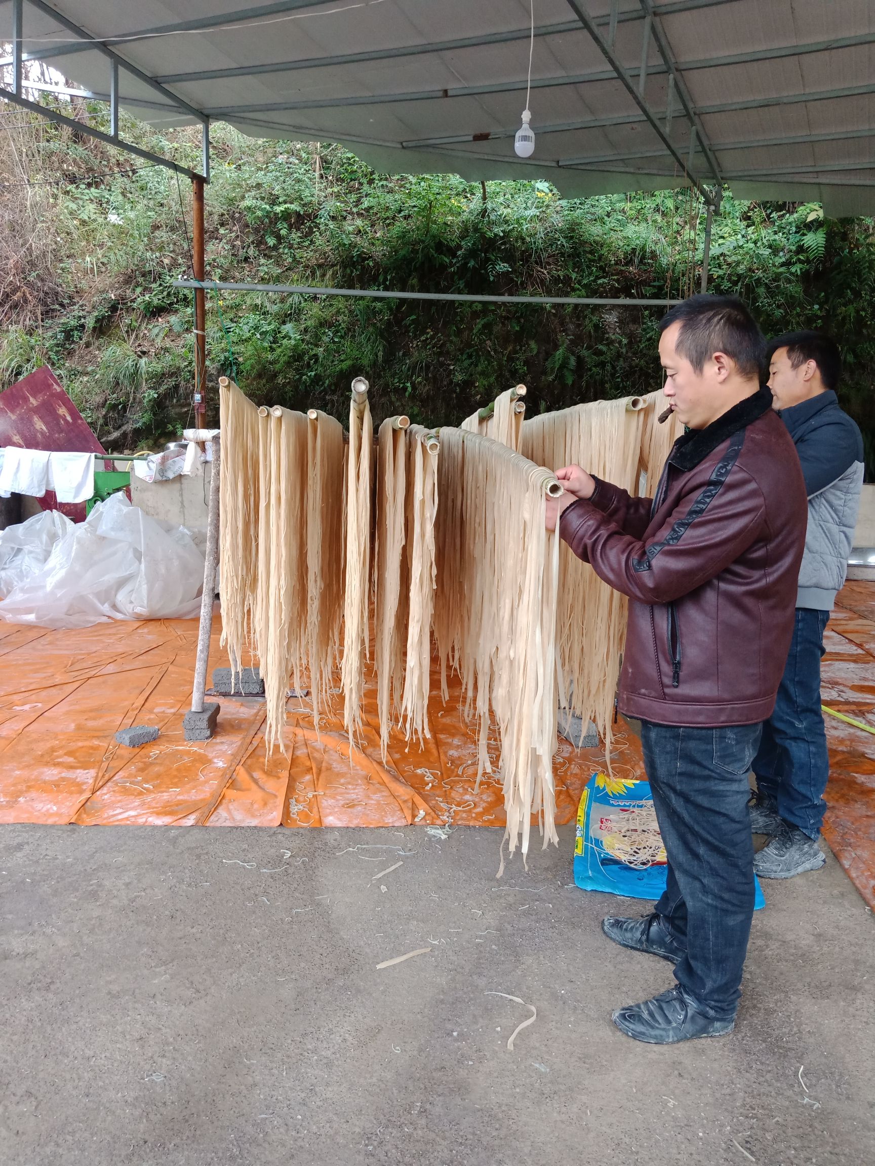  正宗手工绿色红薯粉