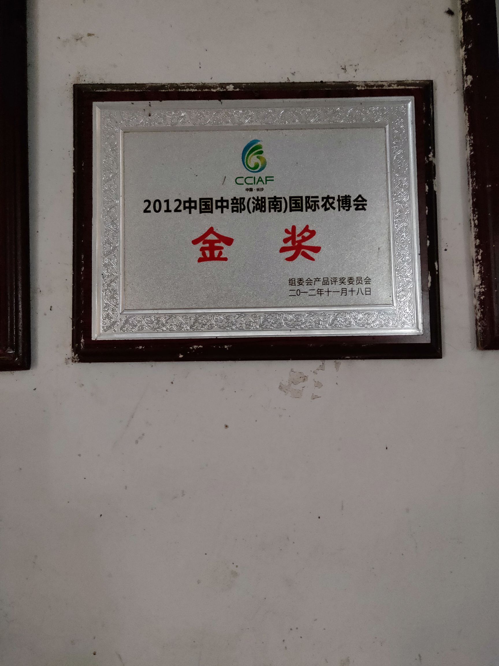 安江早香柚枝条 柚子支条   安江早香柚，金奖产品。自繁自销