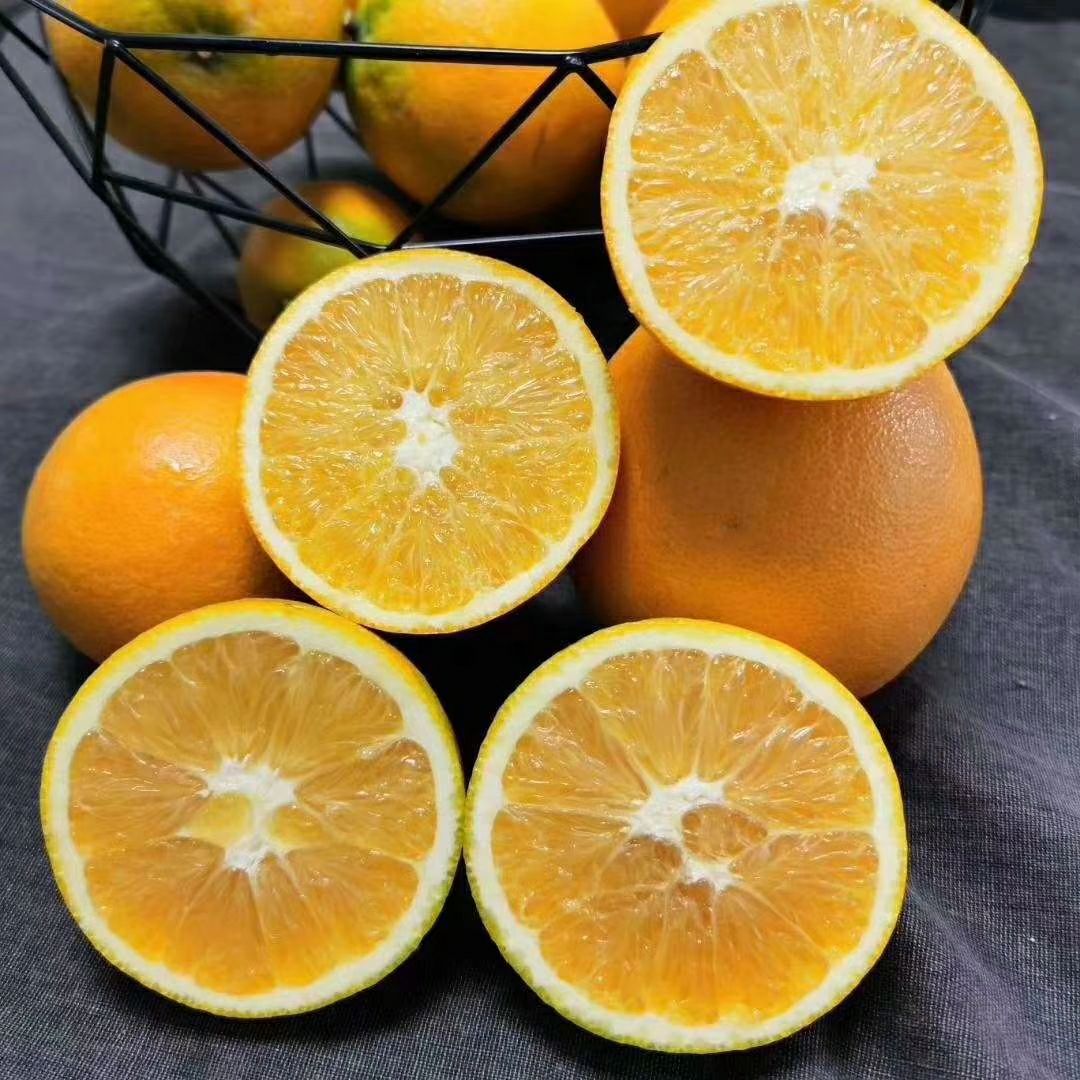 正宗赣南脐橙原产地供应规格60到100精品果