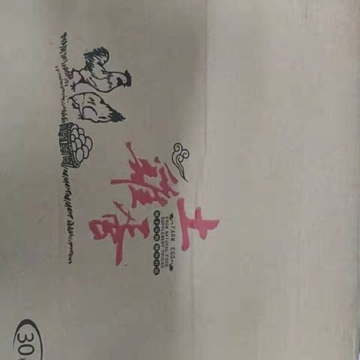 沈阳 散养土鸡蛋