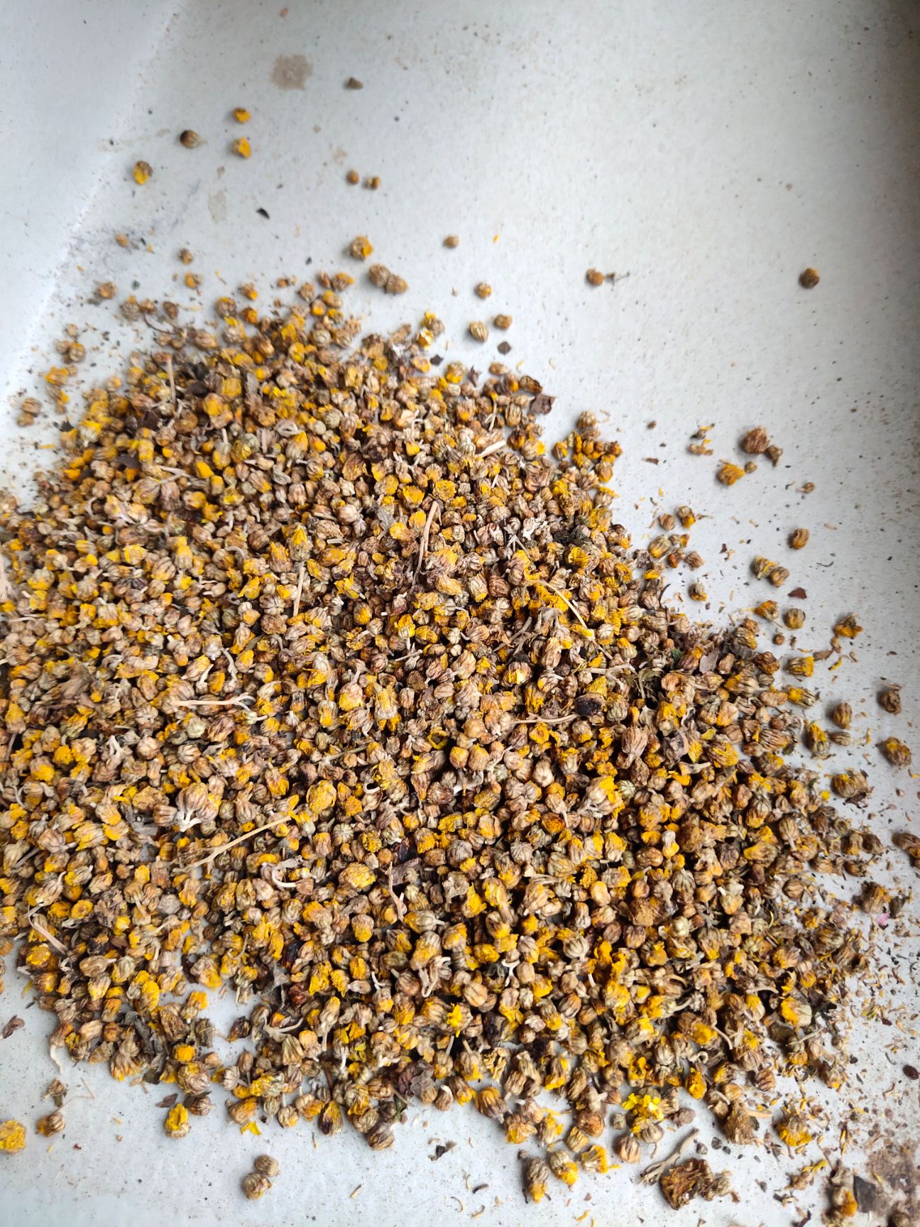 菊花茶  野菊花过筛货 精品货