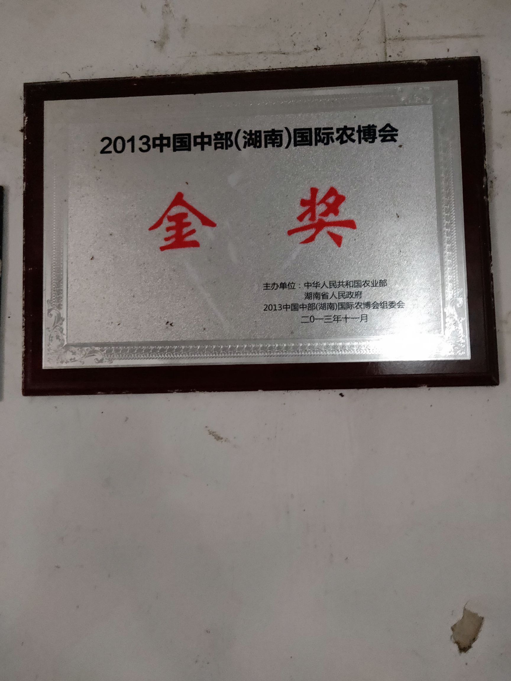 安江早香柚枝条 柚子支条   安江早香柚，金奖产品。自繁自销