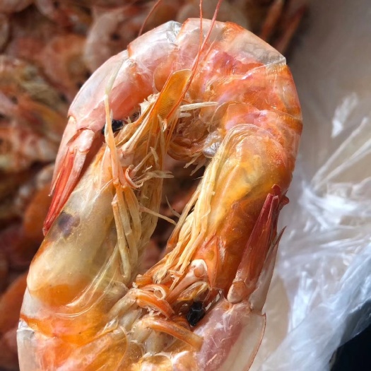 饶平县 咸水对虾干