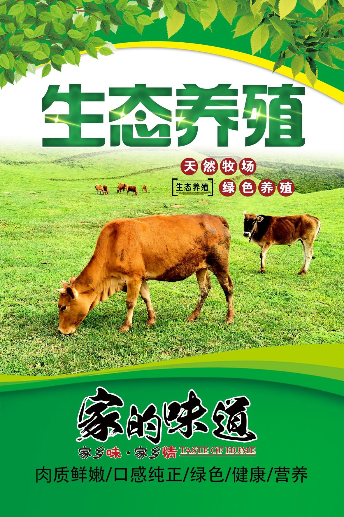 牛肉类  牛肉