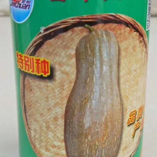 英德市 南瓜种子