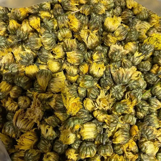 安国市 精品胎菊