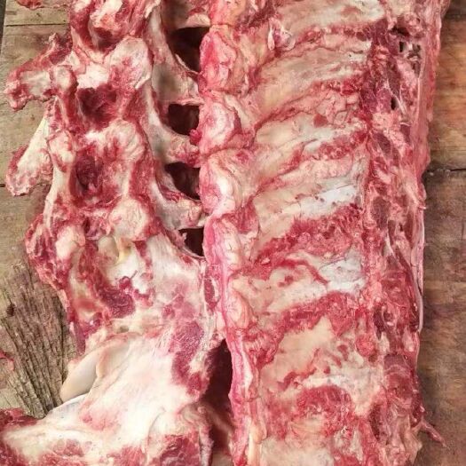 广州 新鲜牛脊骨