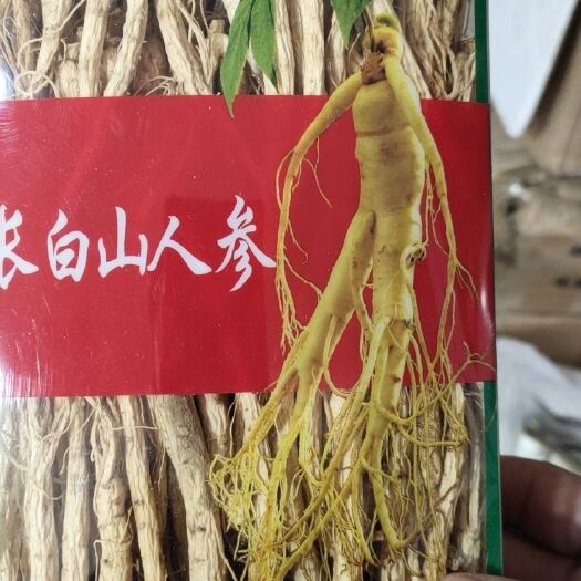 安国市人参个子 煲汤 正品保证 中药材 包邮 健康至上 莫贪便宜