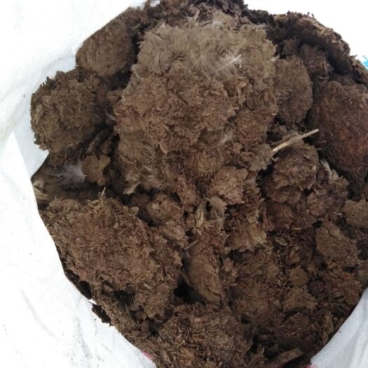 樟树市 大量出售稻壳鸭粪和纯鸭粪