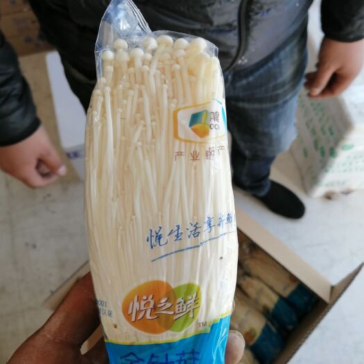 北京白金针菇 中粮悦之鲜