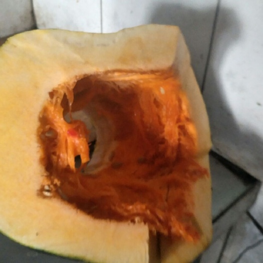 黑山县巨型南瓜种子 特大薄皮儿肉厚红瓤南瓜籽