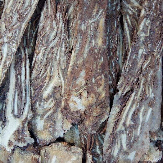 岷县 当归佛手片岷县无硫纯干皮片
