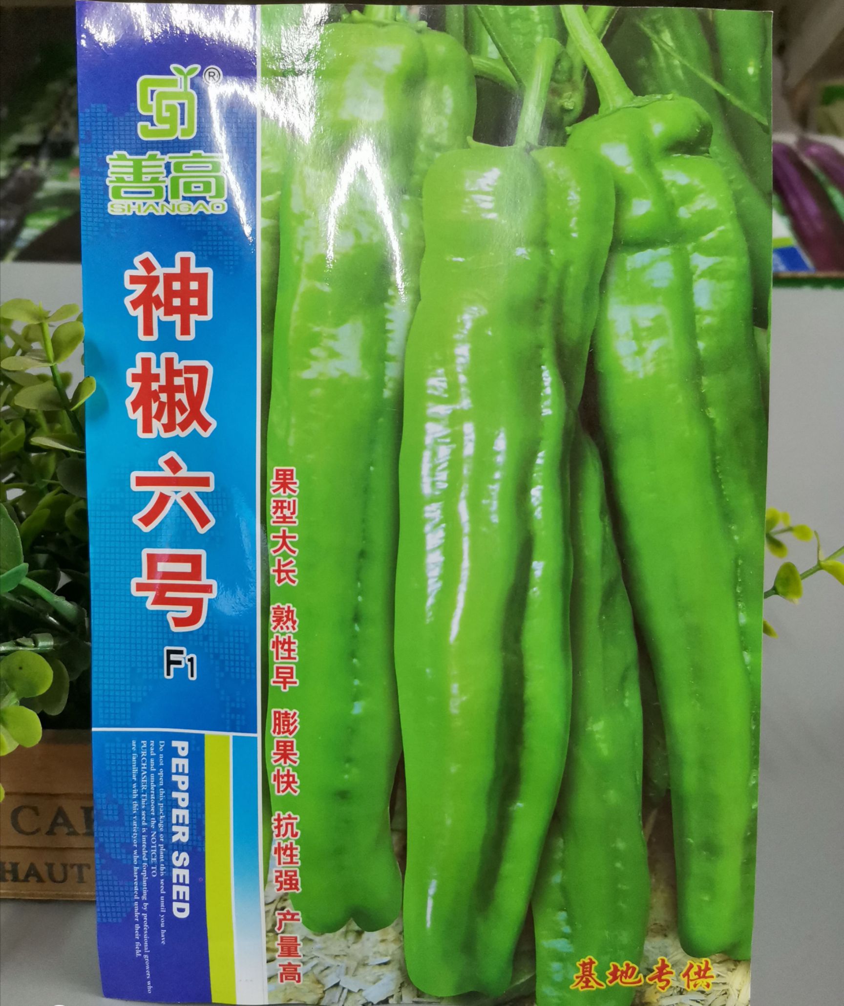  【神椒六号】杂交辣椒种子薄皮椒种子青椒菜椒泡椒种子大田用种
