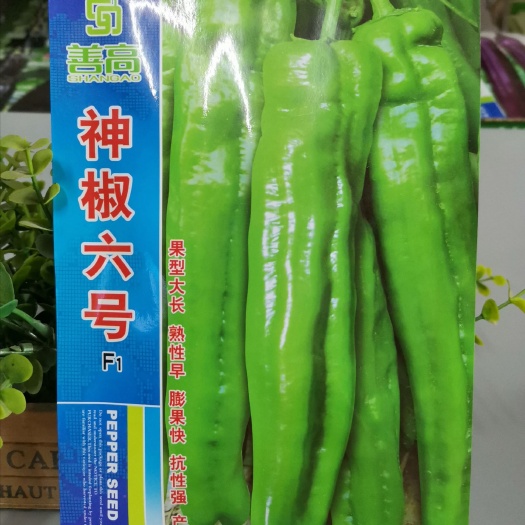 樟树市 【神椒六号】杂交辣椒种子薄皮椒种子青椒菜椒泡椒种子大田用种