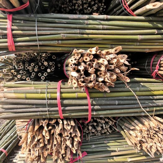 衡阳湖南菜架竹产地直销各种竹子，蔬菜爬藤搭架竹竿