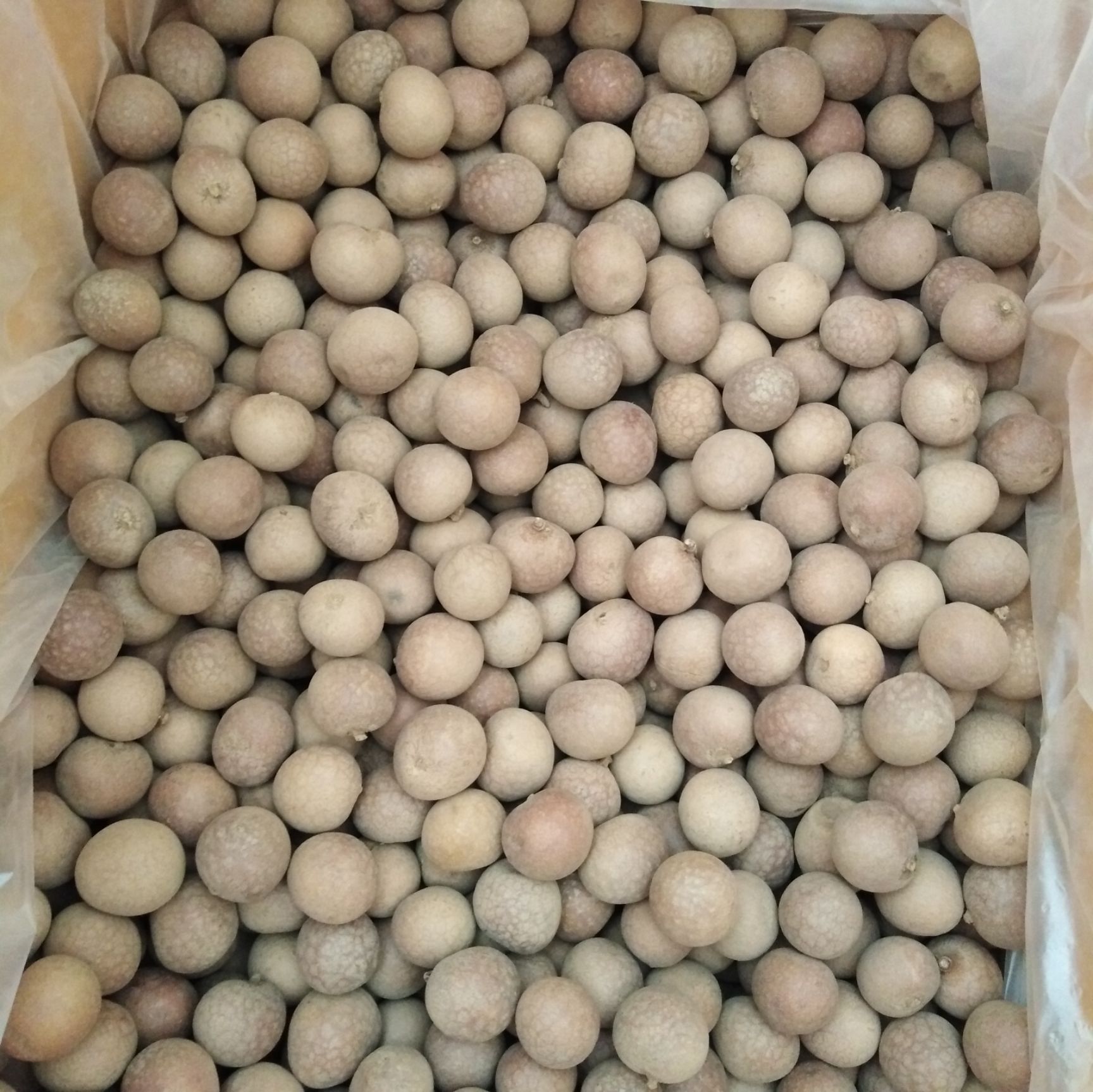  龙眼干 桂圆干 果大肉厚 好品质