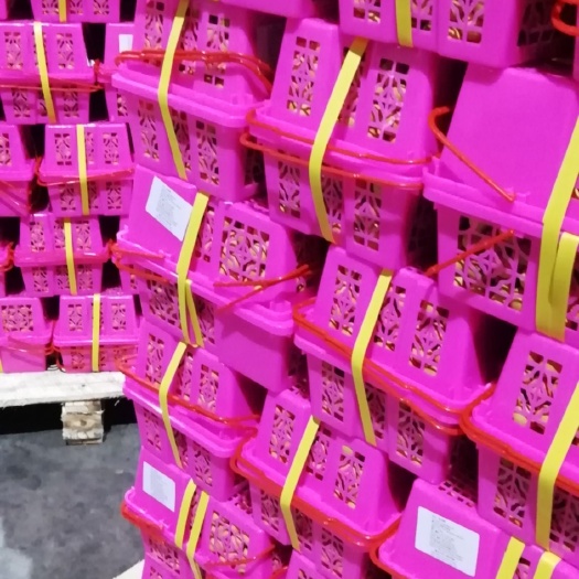 上海泰国龙眼 新年礼品装