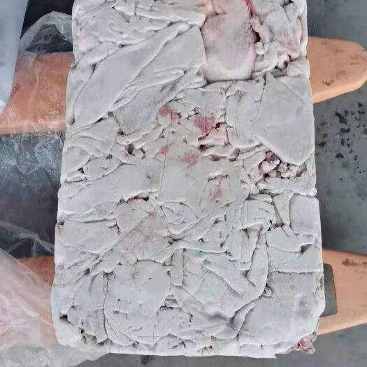 菏泽肚腩膘 碎膘