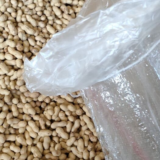天府花生  品種 天府三  小日本炒花生