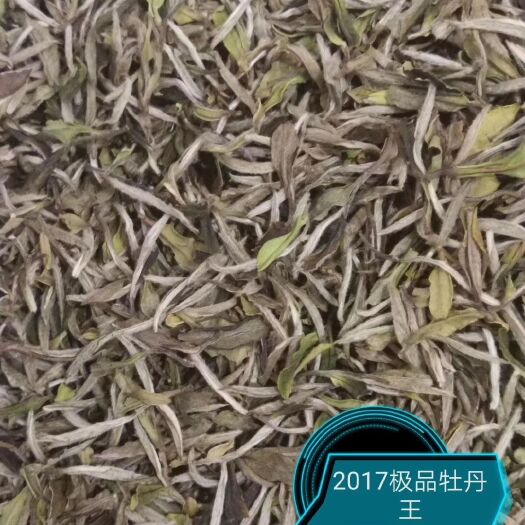 福鼎市 福鼎白茶一年茶，三年药，七年宝