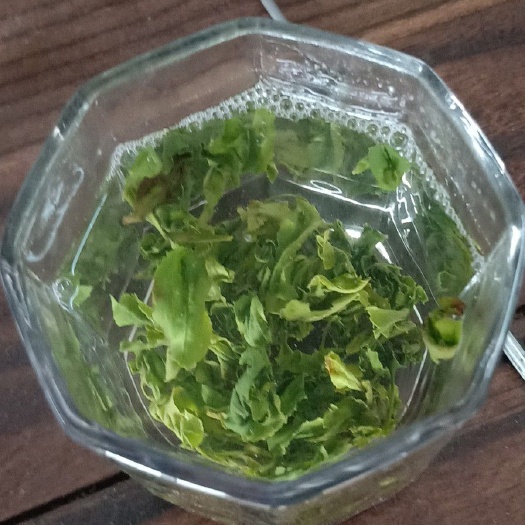 恩施市炒青茶 清明茶