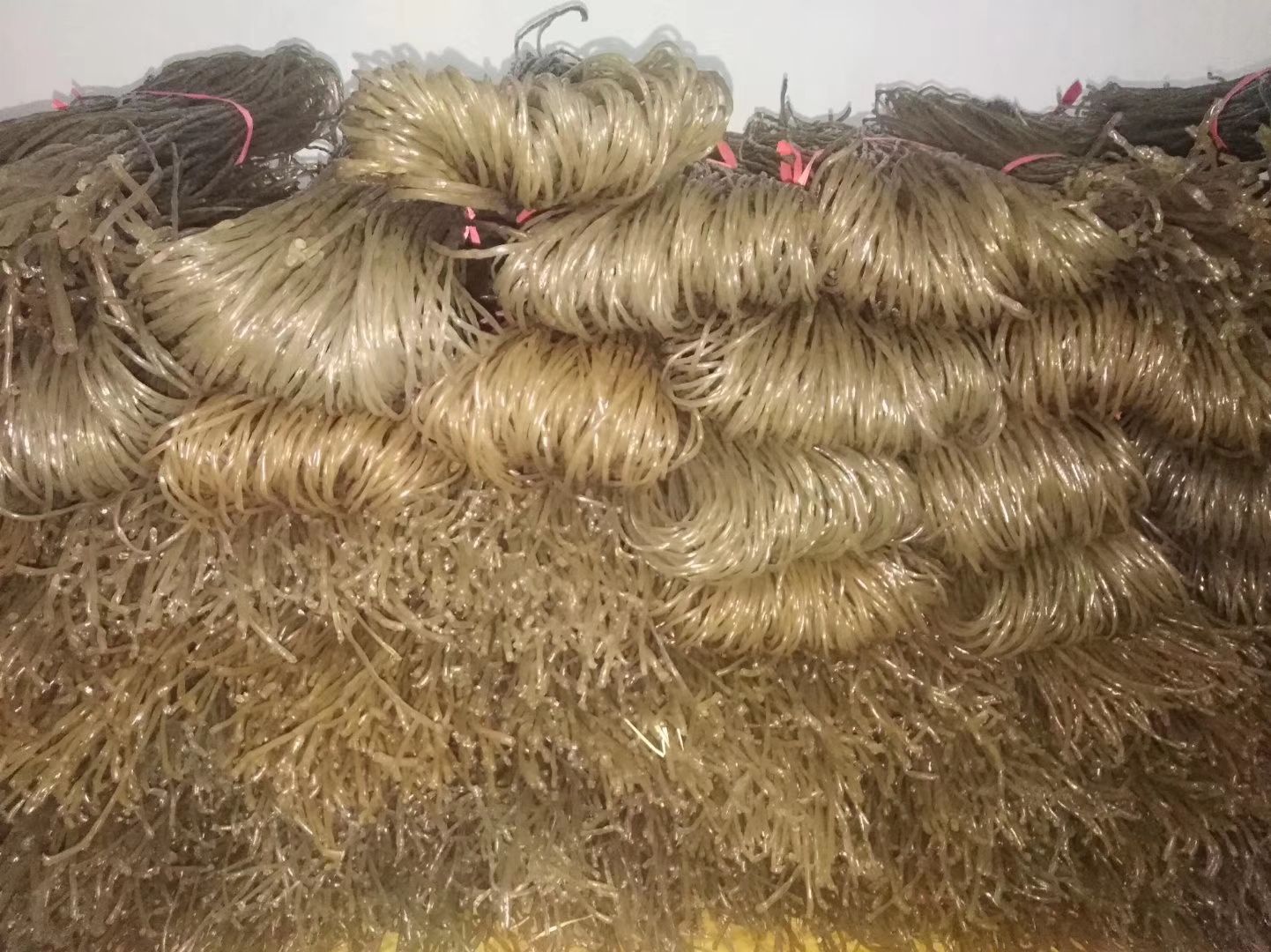 红薯粉丝  红薯粉，纯西瓜红红薯粉条，手工制做，劲道好。
