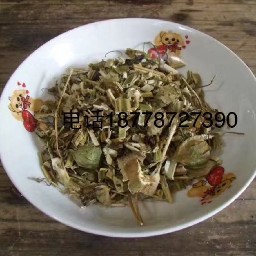 横州市灯笼泡草 自家采的灯笼草已晒干