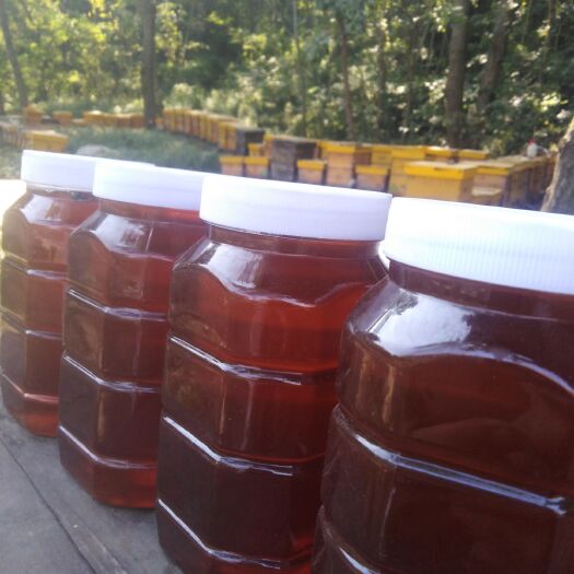 南漳县 湖北鄂西深山荆条蜜