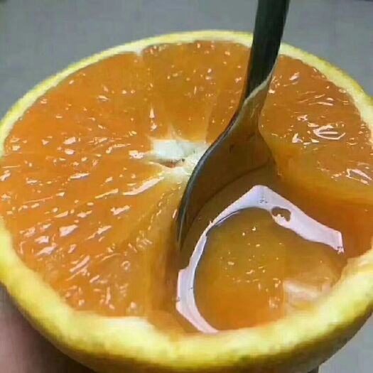 秭归县 像果冻一样的橙子，可以吸的水果！皮薄水分足，好甜可口！