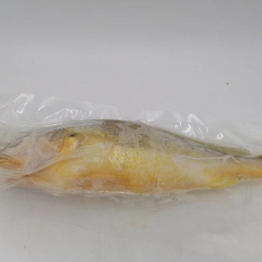 烟台大黄鱼 宴‎会必选‎黄花，新鲜，肉质鲜嫩！大黄一‎斤一条