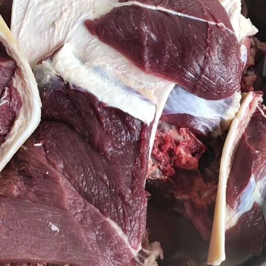 绥阳县 贵州黄牛肉，自己养殖全国发货，