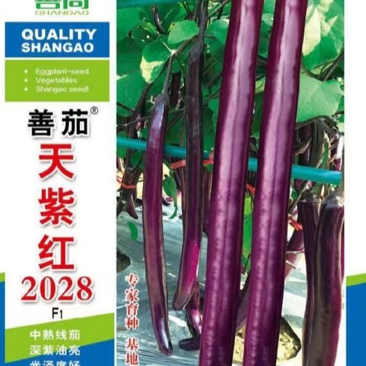 樟树市【善茄天紫红2028】茄子种子  杂交 ≥96%