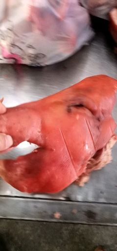 宿州卤猪头肉 一手货源，全熟猪头肉