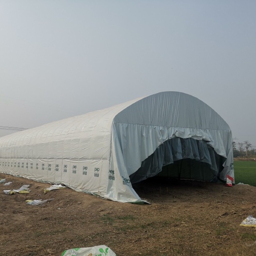 怀远县 专业搭建养殖大棚