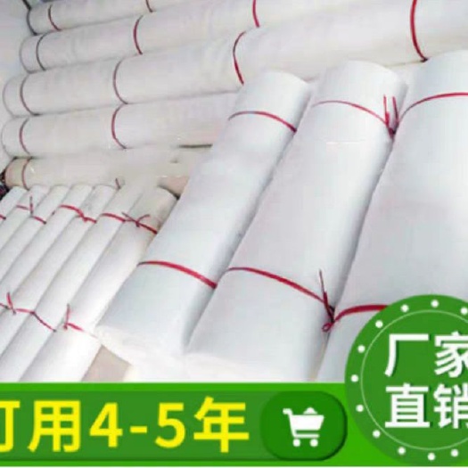 沛县 农用防虫网大棚专用抗老化60目加厚，5年可用