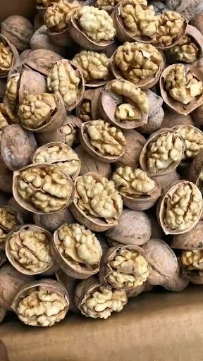 沧县 185纸皮核桃新疆核桃