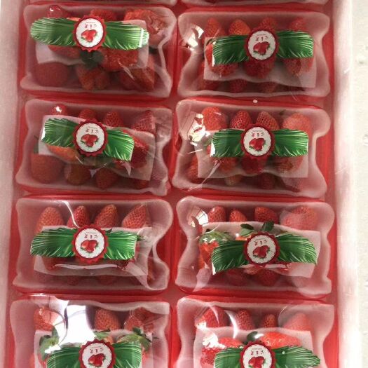 徐州 精品草莓