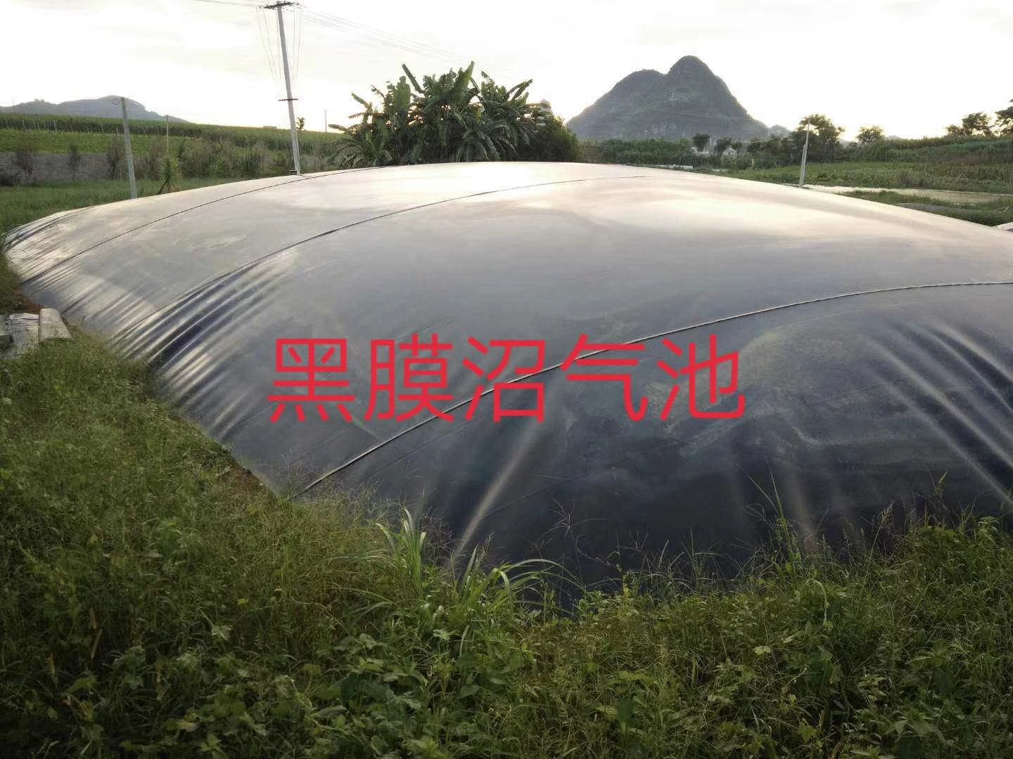 沼气池 环保黑膜