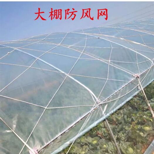天津大棚管 大棚防风网