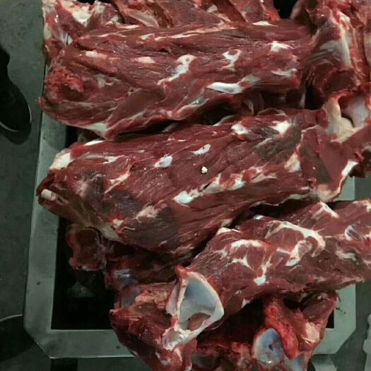 阳信县 多肉牛脖骨