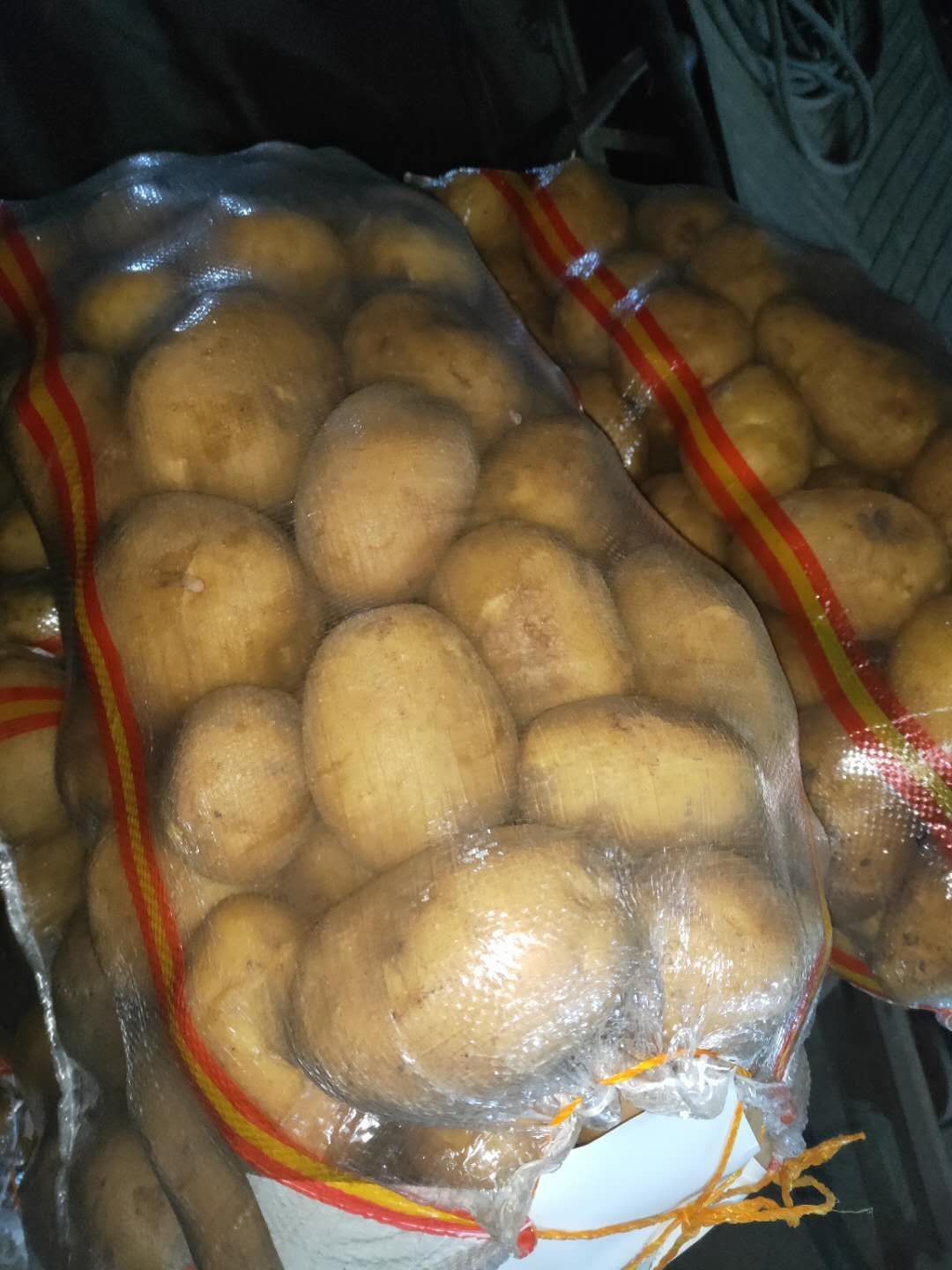 希森6  最牛的西森