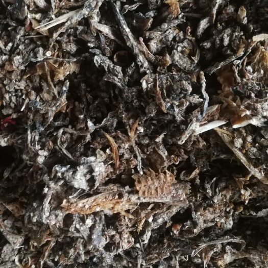 青岛鱼粉 高温杀菌烘干纯鳕鱼鱼皮鱼肉鱼鳞！