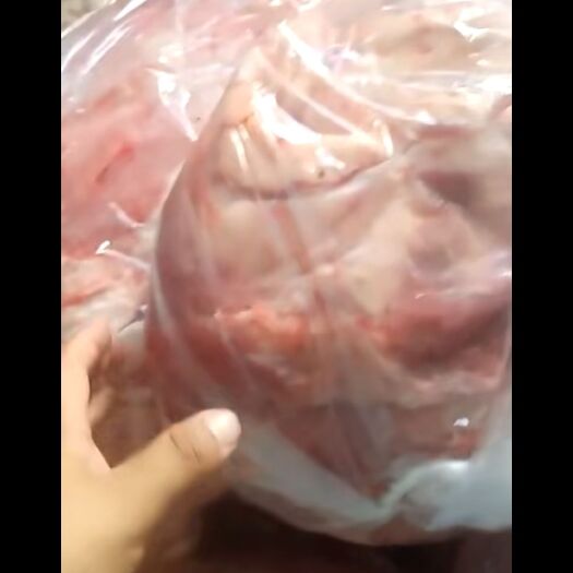 阳信县羔羊排，天天鲜货，需要的老板联系。