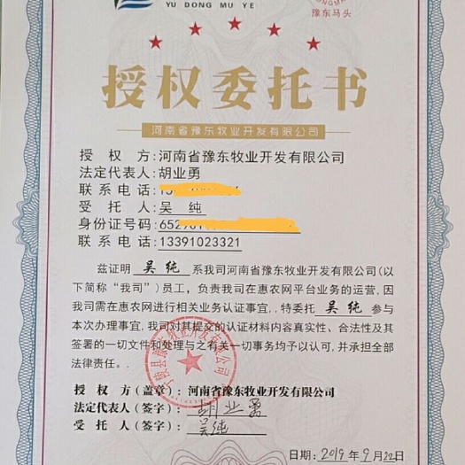 宁陵县 直供最真实规范优质的，波尔山羊，马头羊，种羊繁育基地。