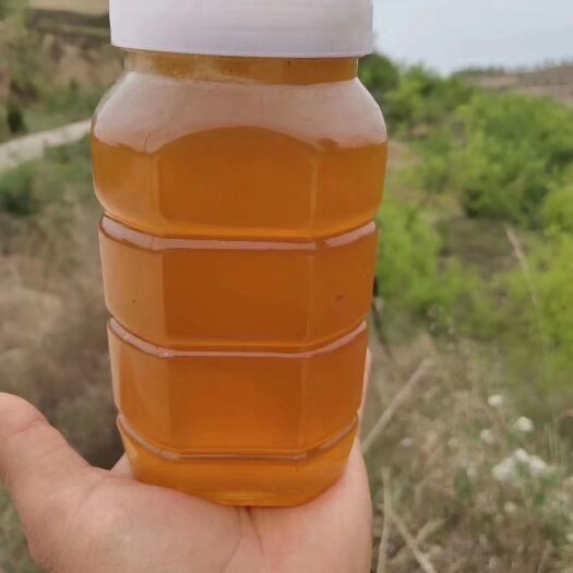 原平市 农家自产枣花蜂蜜蜂厂场地直供纯正天然土蜂蜜孕妇蜂巢